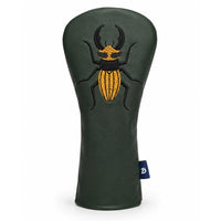 Stag Beetle
