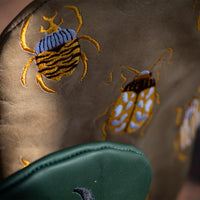 Coleoptera