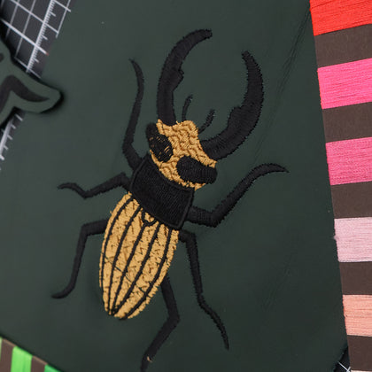 Stag Beetle