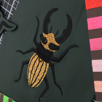 Stag Beetle
