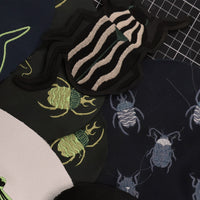 Coleoptera