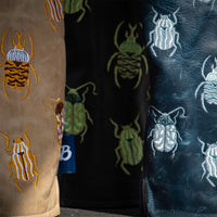 Coleoptera