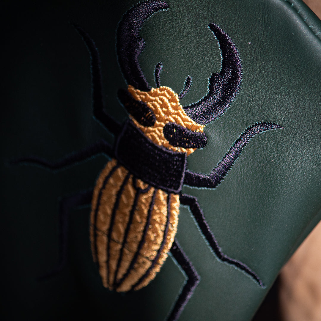 Stag Beetle