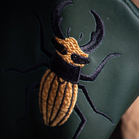 Stag Beetle