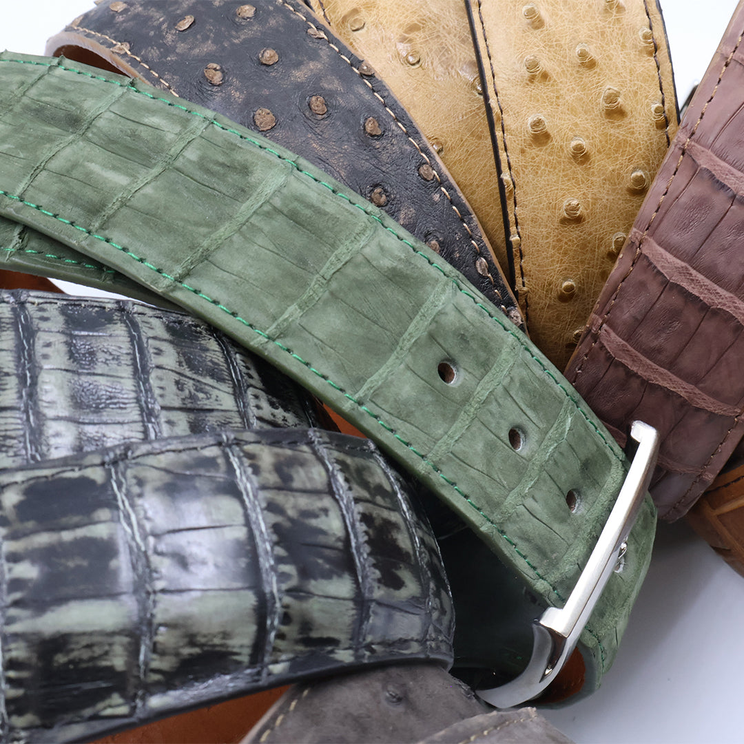 Everglade Belt