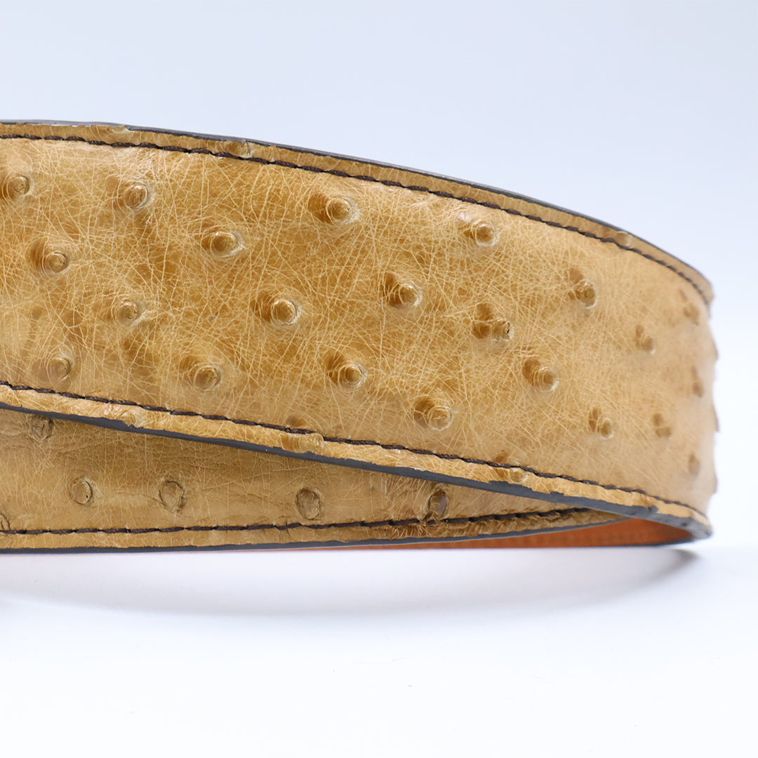 Sahel Belt