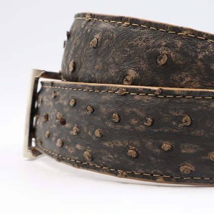 Sahel Belt